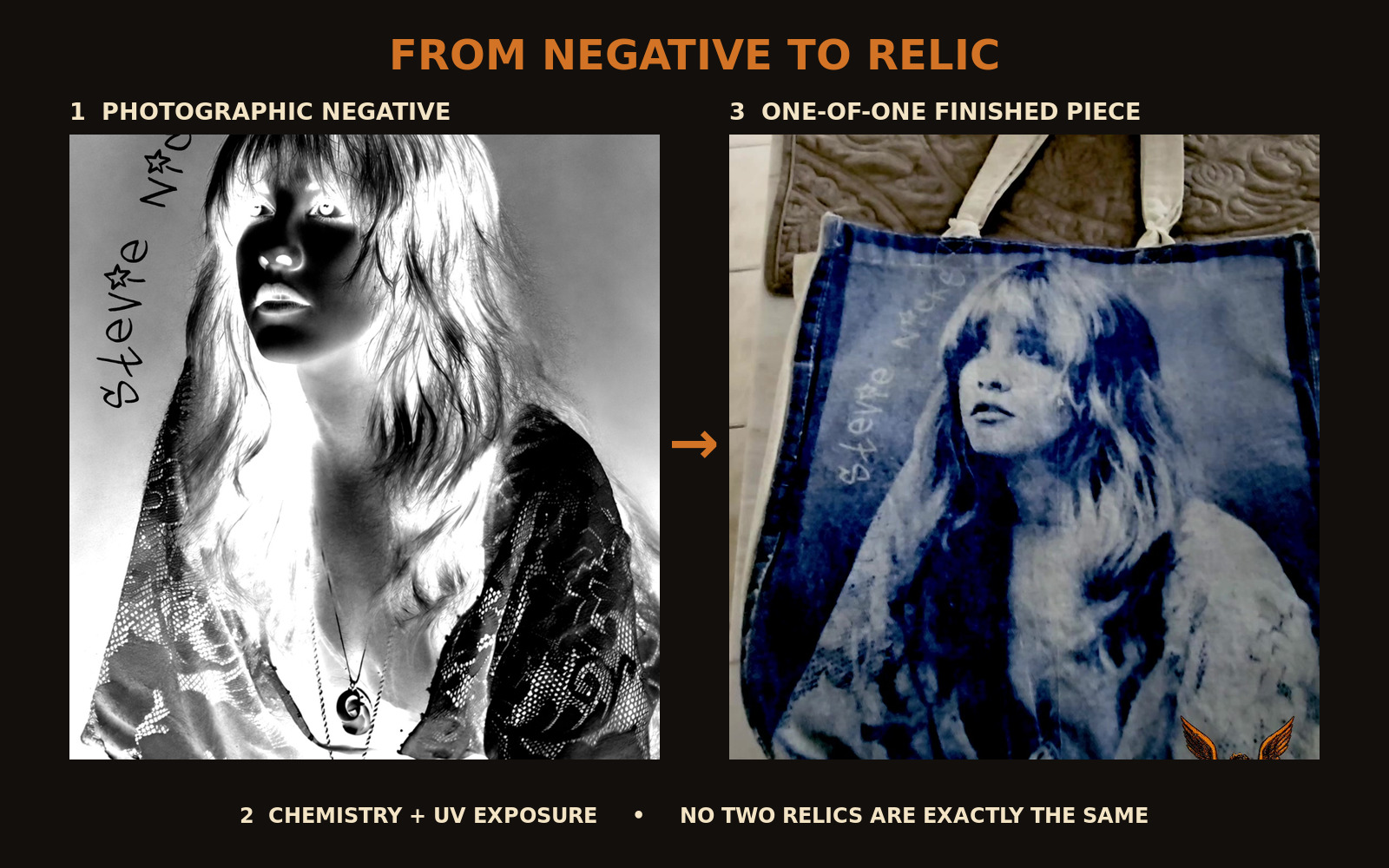 Stevie Nicks photographic negative beside the finished one-of-one LYTE RELIC tote